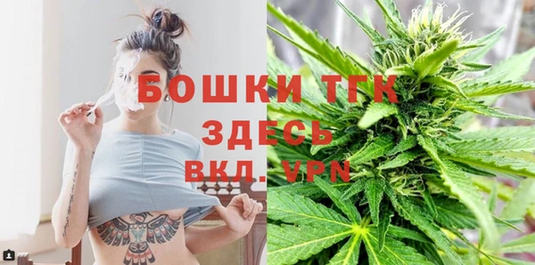 ГАЛЛЮЦИНОГЕННЫЕ ГРИБЫ Абаза