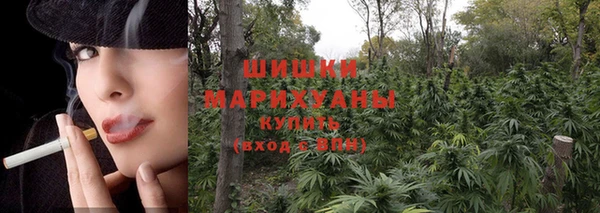 гидра Абинск